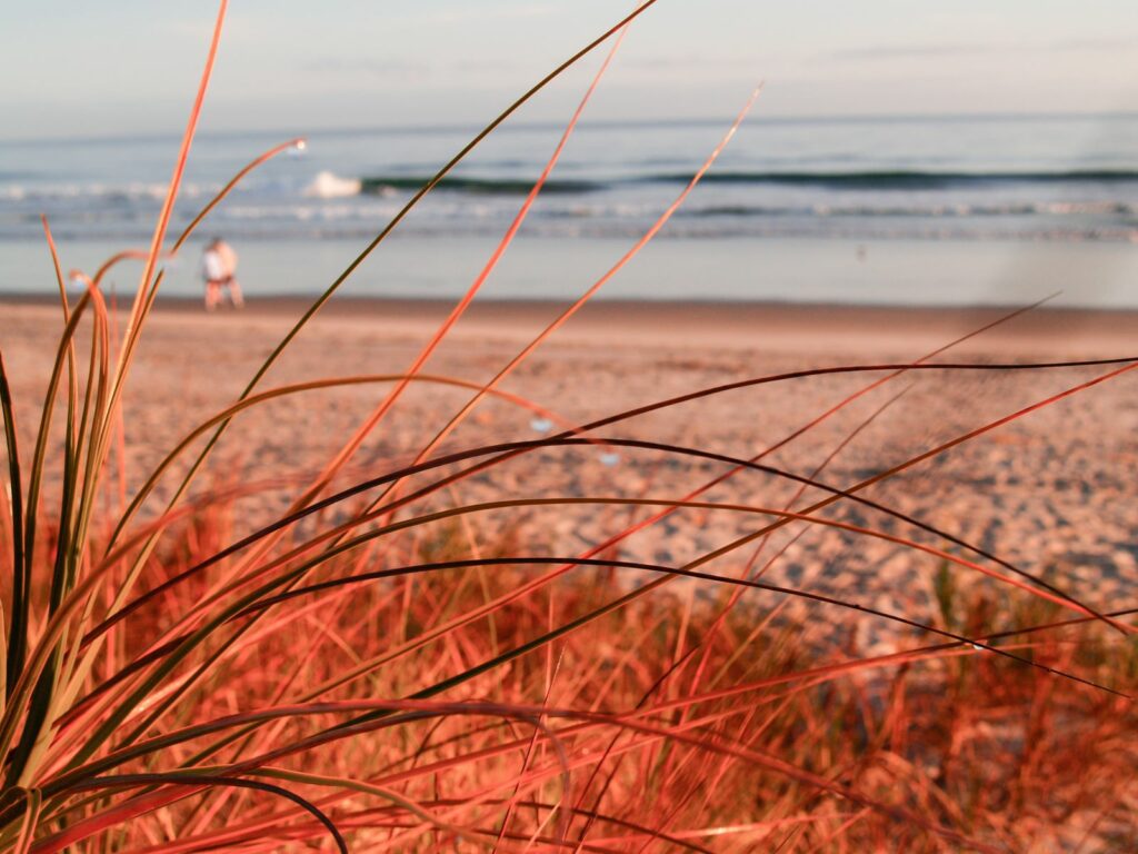 Papamoa Beach