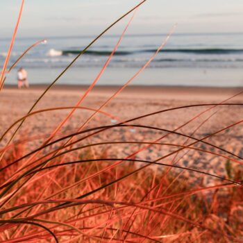 Papamoa Beach